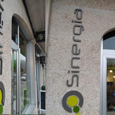 sinergia