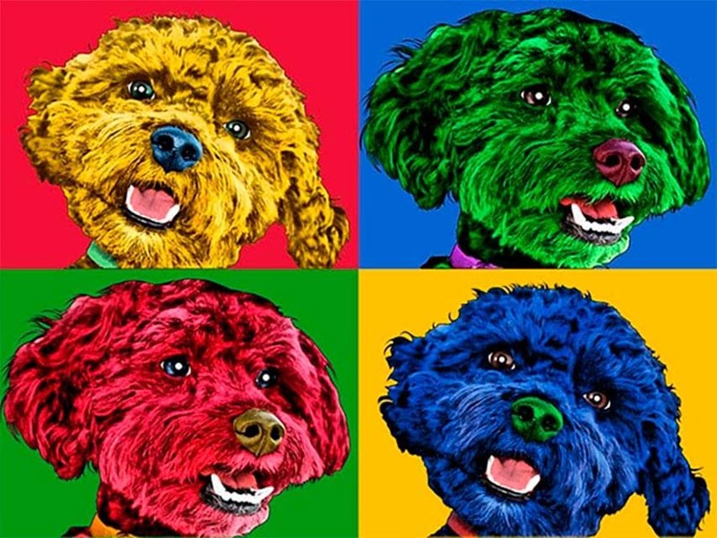 TU MASCOTA DE FOTO A CUADRO POP ART